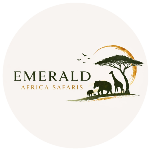 Africa Gorilla Trekking Safaris in Uganda, Rwanda & Congo